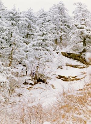 0611ph021