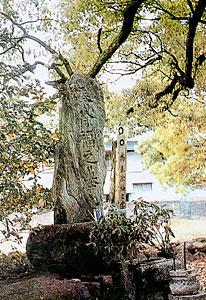 1801ph001