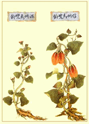 1302ph013