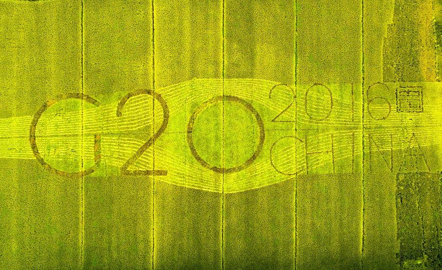 d8hangzhoug20