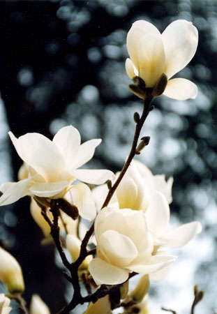 0403ph002