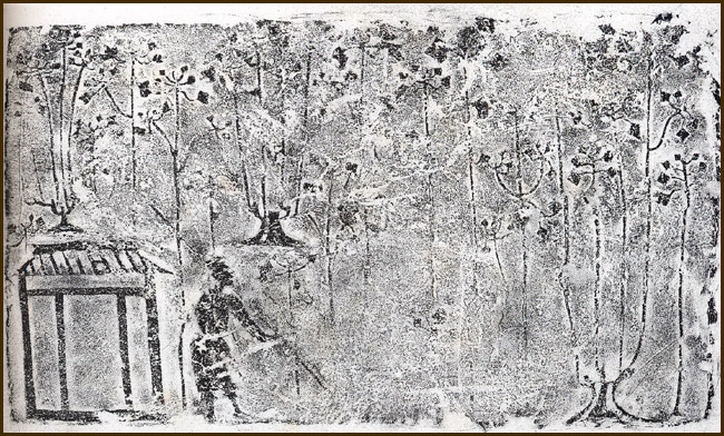 0405ph011