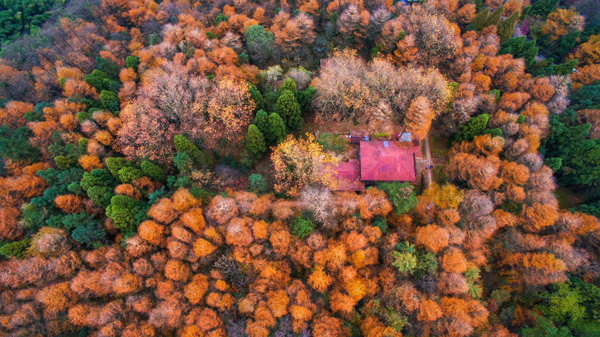 vcg11495447375
