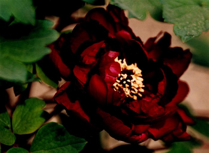 0205ph001