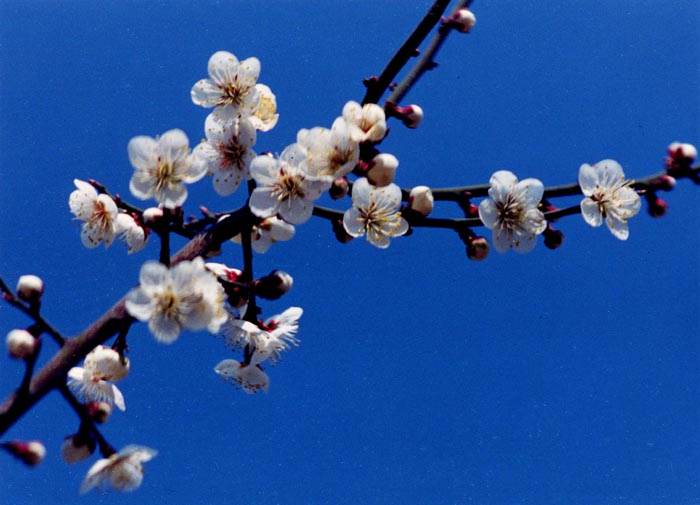 0205ph002