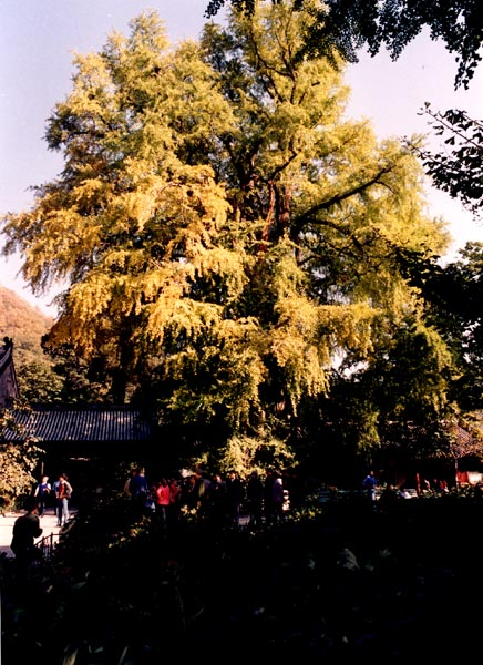 0205ph017