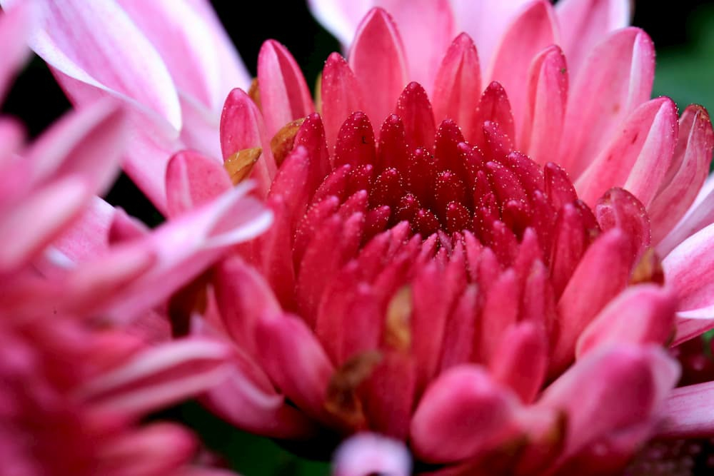 30023phn001_01
