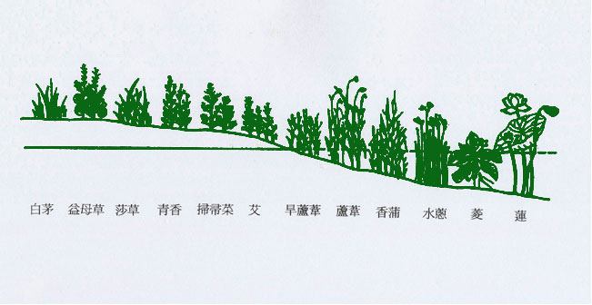 0806ph017