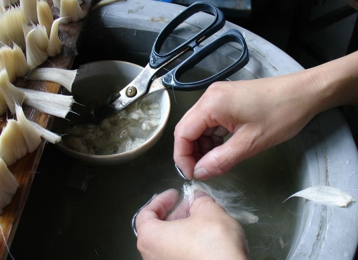 30052ph021