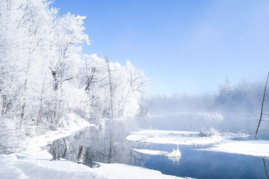 shutterstock_1109875232-