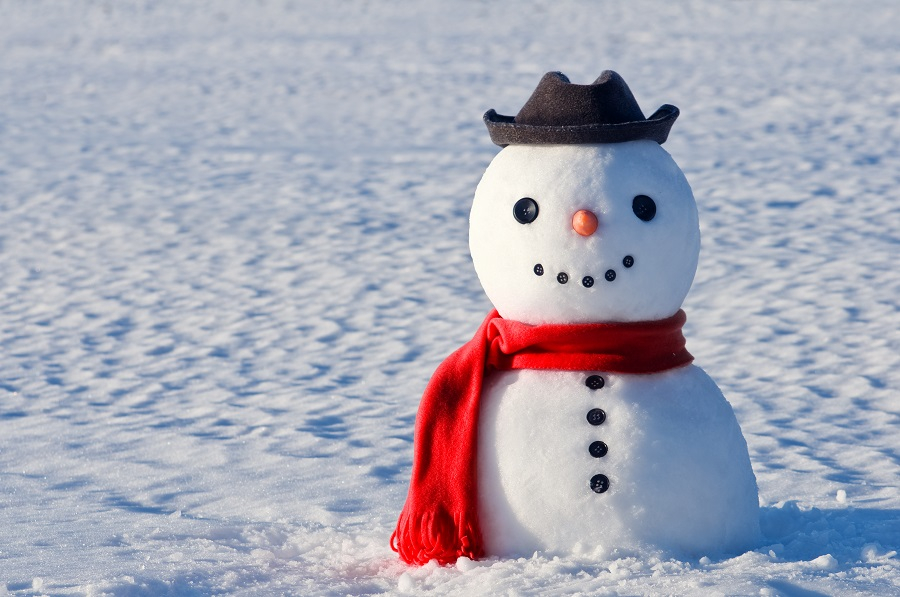 shutterstock_125246687-