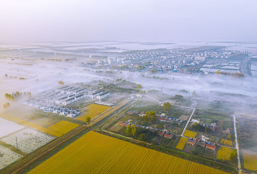 vcg111257189314
