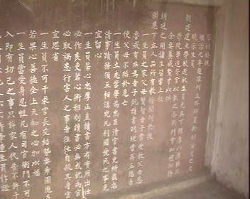 1101ph020