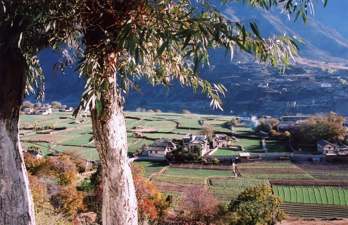 20310ph023