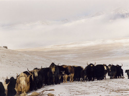 0906ph009