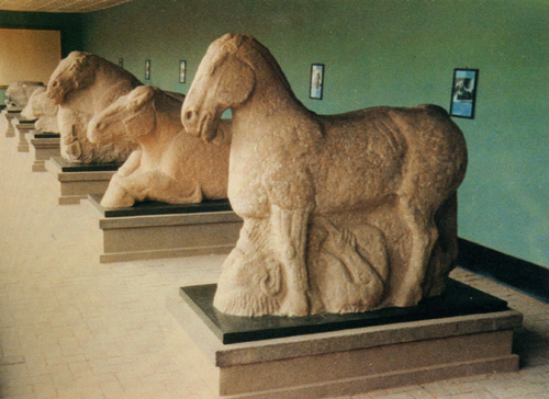 1205ph009