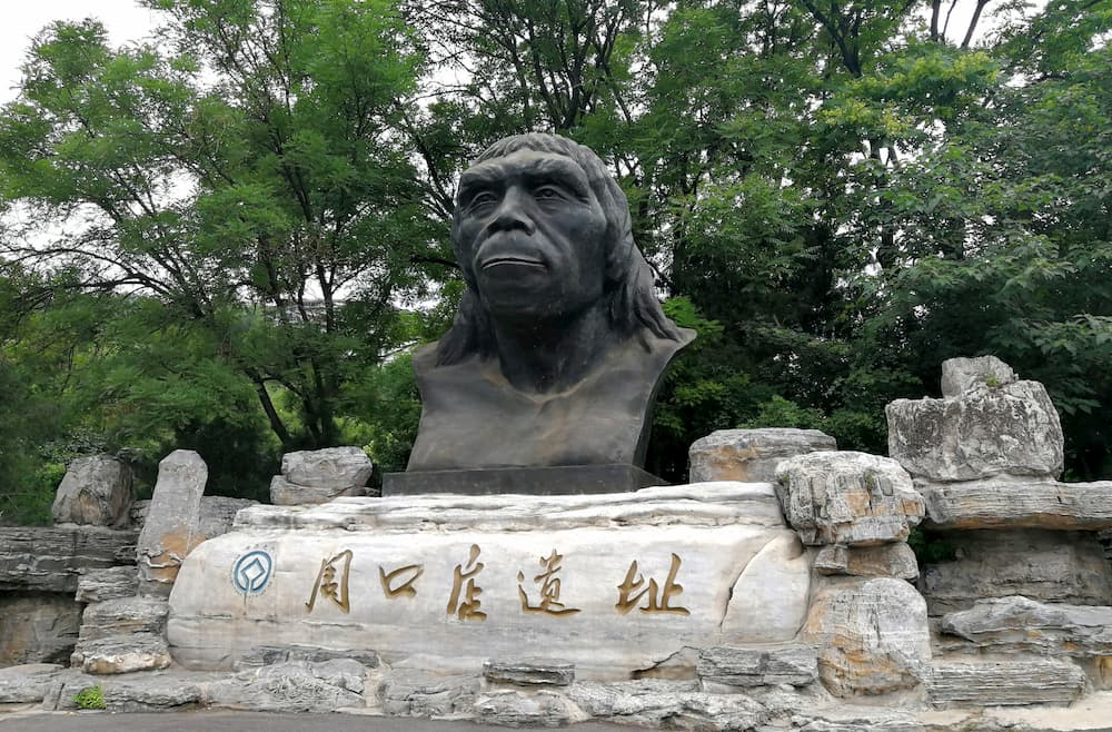 20107phn001_01