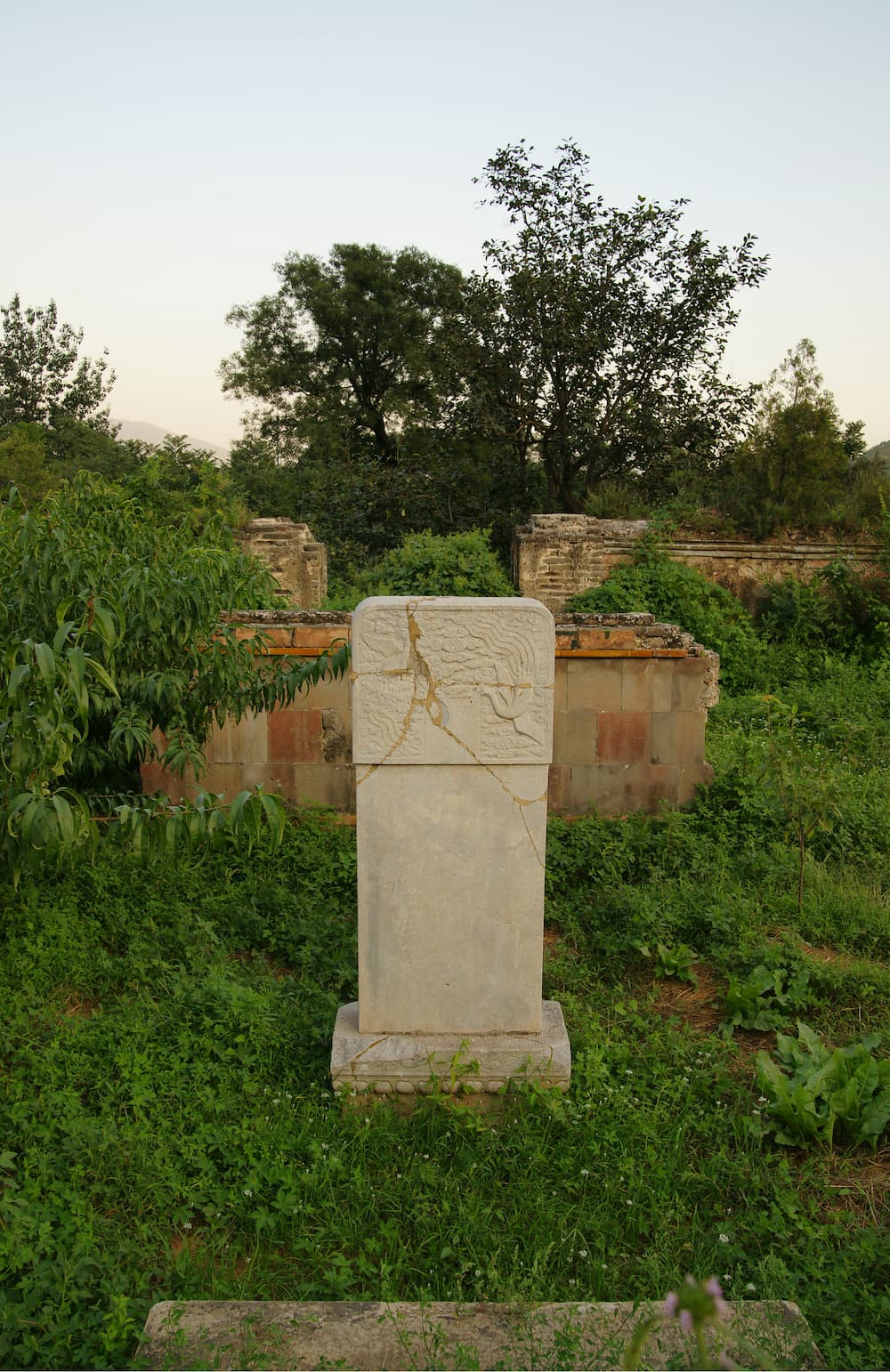 202124phn008